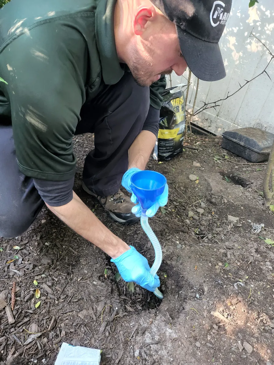 A Marrone technician pouring an organic treatment into the soil beside a building